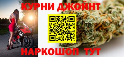 a pvp Гатчина