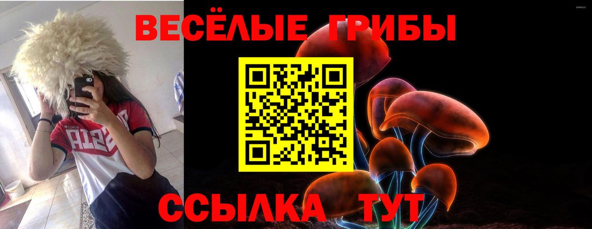 Можга  закладка  Вход с VPN  Галлюциногенные грибы Psilocybine cubensis 