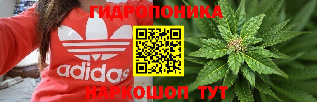 Шишки марихуана SATIVA & INDICA Можга